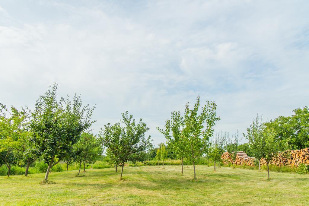 Garden Holiday Home Drenje  ภายนอก รูปภาพ